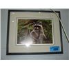 Image 1 : Framed limited edition signed and numbered print