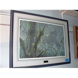 Framed limited edition signed and numbered robert