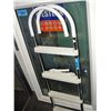 Image 1 : Pool ladder