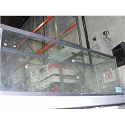 Large tropical fish aquarium