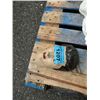 Image 1 : Cement yard ornament mans face