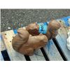 Image 1 : 2 cement yard ornaments; brown squirrels