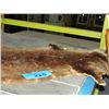 Image 1 : Otter fur pelt