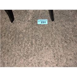 Approx 6F by 8F grey shag area rug