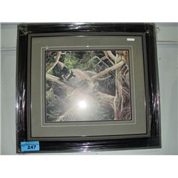 Framed LEP by A Kiss