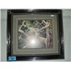 Image 1 : Framed LEP by A Kiss