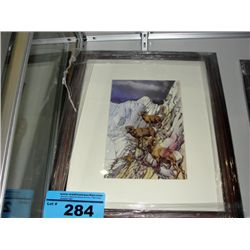 Framed print - rocky mountain sheep