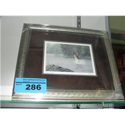 Framed print titled fishing osprey by artist don