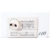 Image 1 : 6.20carat moonstone and garnet