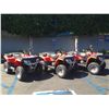 Image 2 : 2008 POLARIS SPORTSMAN 300