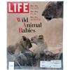 Image 1 : 3 vintage life magazines