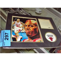 NBAs denis rodman collectors set