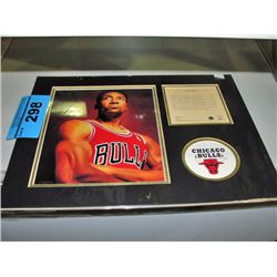 NBAs scotty pippen collectors set