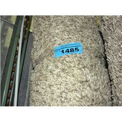 Large off white and beige shag area rug