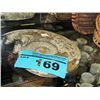 Image 1 : Prehistoric fossil