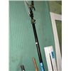 Image 1 : Pole pruner