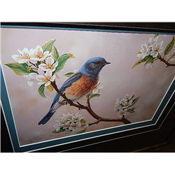 FRAMED LIMITED EDITION PRINT