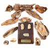 Image 1 : 12 CIVIL WAR BULLETS FIRED INTO TREE CUT SAMPLES