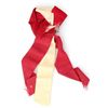 Image 1 : CIVIL WAR SIXTH ANN REUNION 12TH VA CAV RIBBON