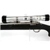 Image 3 : RUGER M77 MARK II STAINLESS IN .243 WIN
