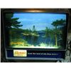 Image 2 : Hamm's Rippler Sign