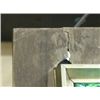 Image 4 : Hamm's Rippler Sign