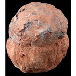 FOSSILIZED DINOSAUR EGG