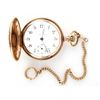 Image 1 : MCHENRY & STEVENS RAILROAD GRADE POCKET WATCH 8S