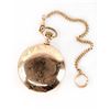 Image 2 : MCHENRY & STEVENS RAILROAD GRADE POCKET WATCH 8S