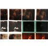Image 2 : GLASS STEREOVIEW COLLECTION NUDE & SOFT PORN