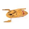 Image 3 : 19TH CENTURY PAPER MACHE WIND UP TOY DOG