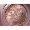 Image 1 : 1884-O MORGAN SILVER DOLLAR PCGS MS-64