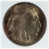 Image 2 : 1913-1 BUFFALO NICKEL NGC MS65