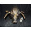 Image 1 : AMERICAN HORROR STORY SCREEN USED BULL TORO GOD HELMET MASK