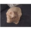 Image 2 : ALIEN RESURRECTION NEWBORN HEAD MASTER FROM DEATH SCENE FROM ORIGINAL ADI STUDIO MOLD