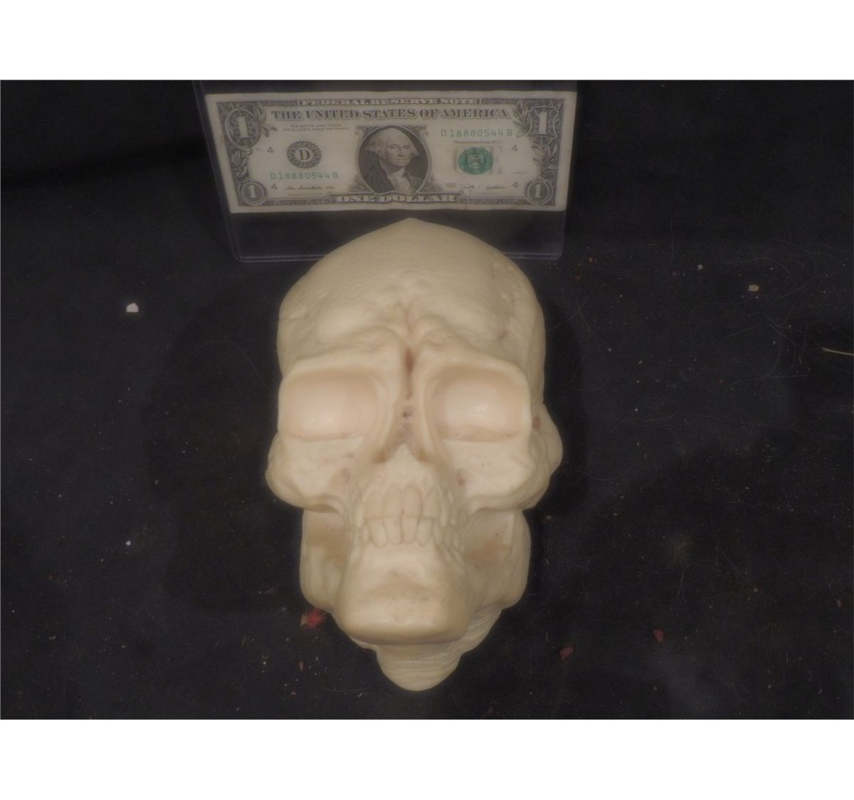 Alien Resurrection Newborn Head Skull Master From Death Scene From Original Adi Studio Mold