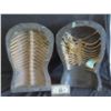 Image 1 : INSIDE ZOMBIE MUMMY TORSO CAVITY SHOOTING SET