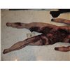 Image 3 : CHEWED UP FEMALE CORPSE WITH SEVERED HEAD HANDS AND FEET 1