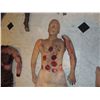 Image 2 : COMPLETE BULLET RIDDLED CORPSE WITH HOLES FOR BLOOD SQUIBS