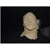 Image 1 : ROTTEN ZOMBIE MUMMY FULL FACE AND NECK LATEX MASK 2