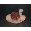 Image 1 : SEVERED HEAD STUMP WITH EXCELLENT GORE