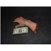 Image 1 : SEVERED ARM AND HAND WITH GORE
