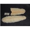 Image 1 : PAIR OF CREATURE ZOMBIE SPINE APPLIANCES