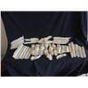 Image 1 : HUGE LOT OF EXPOSED BONES AND RIBS. OVER 35 PIECES!