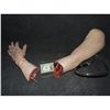 Image 1 : SEVERED ARM AND HAND WITH GORE AT BOTH STUMPS