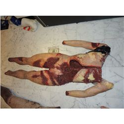 CHEWED UP FEMALE CORPSE WITH SEVERED HEAD HANDS AND FEET