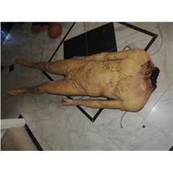COMPLETE HEADLESS BODY CORPSE WITH SEVERED HEAD GORE