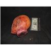 Image 2 : SEVERED HEAD WITH 1 ACRYLIC EYE & EXCELLENT GORE AT STUMP