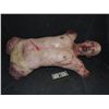 Image 1 : DRAWN & QUARTERED FEMALE BODY WITH EXCELLENT GORE AT ARM & LEG STUMPS & SLIT THROAT