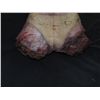 Image 2 : DRAWN & QUARTERED FEMALE BODY WITH EXCELLENT GORE AT ARM & LEG STUMPS & SLIT THROAT